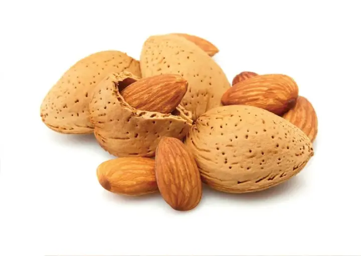 Home 13 Almonds