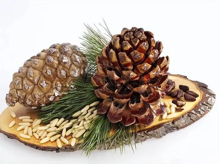 Home 16 Pine nuts