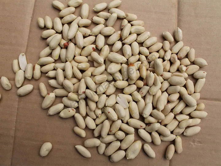 Factory test photo peeled peanuts