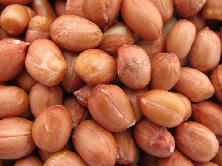 Roasted peanuts