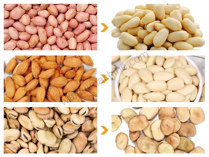 Wet Type Peanut Peeling Machine 9 Application of wet type peanut peeler