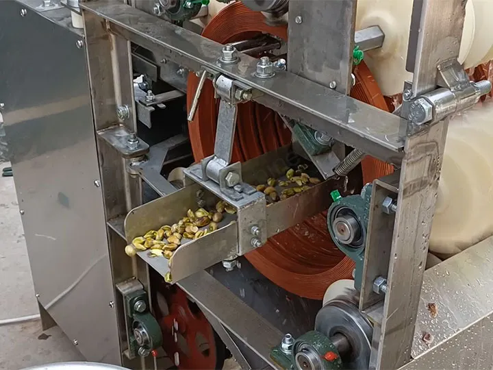 Wet Type Peanut Peeling Machine 8 Discharge after peeling