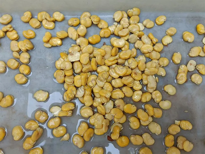 Wet Type Peanut Peeling Machine 4 Shelled broad beans