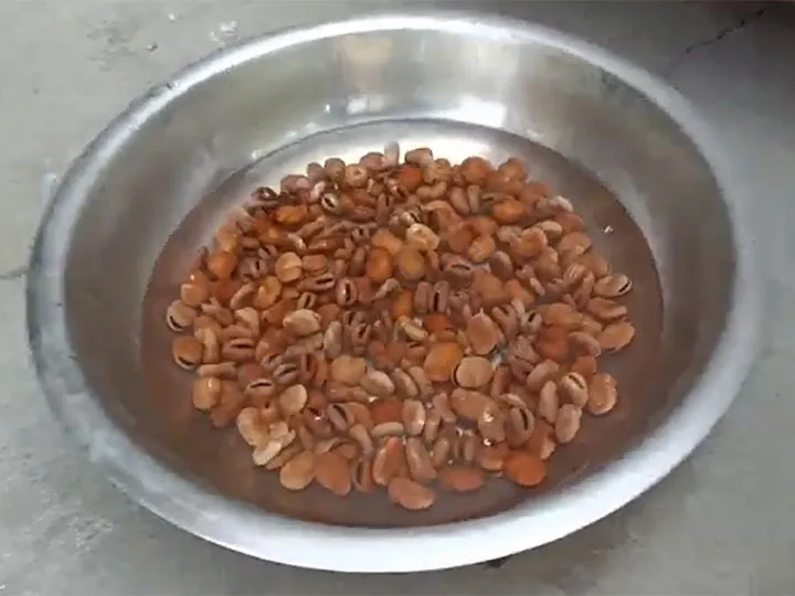 Wet Type Peanut Peeling Machine 5 Soak the materials in advance
